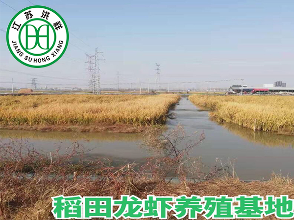 重型臥式銑床XT1010Y，X1010，X1012